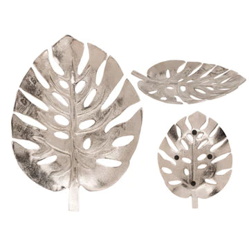 Krožnik Monstera